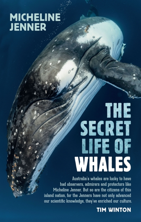 Cover image for book The Secret Life of Whales