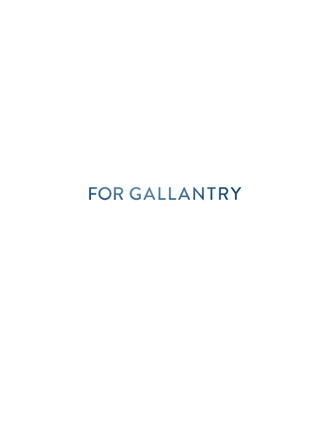 Cover image for book For Gallantry