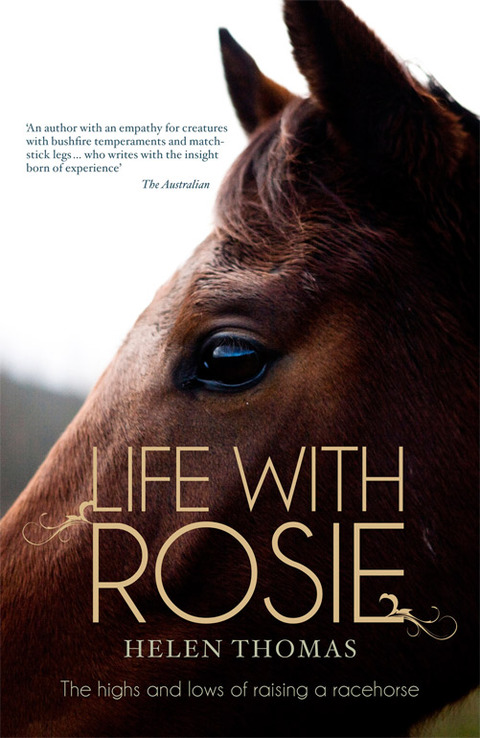 Cover image for book Life with Rosie