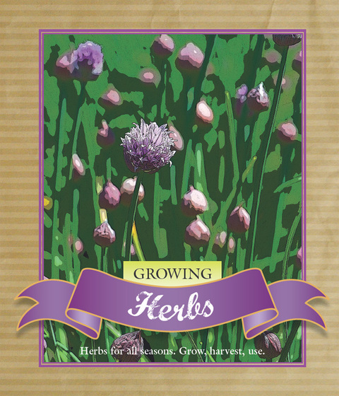 Cover image for book Growing Herbs