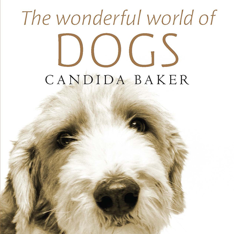 Cover image for book The Wonderful World of Dogs