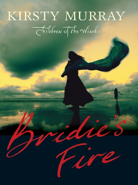 Cover image for book Bridie's Fire