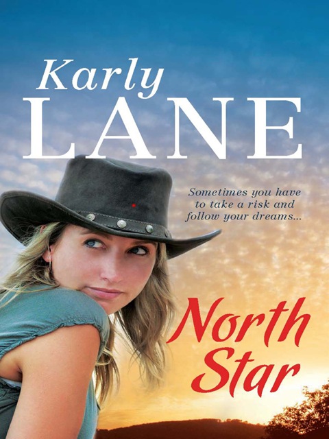 Cover image for book North Star