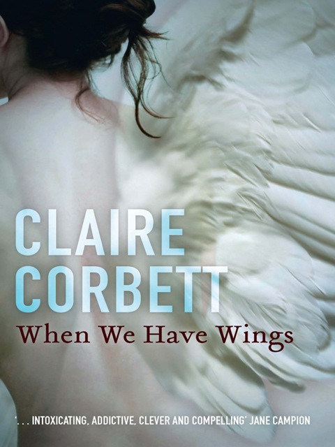 Cover image for book When We Have Wings