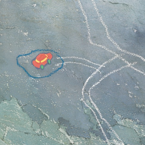 Cover image for book That's not a daffodil!