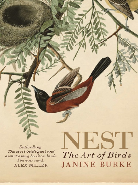 Cover image for book Nest
