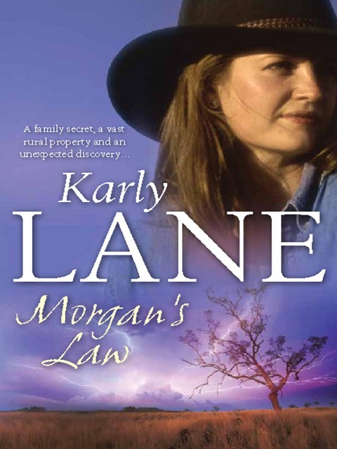 Cover image for book Morgan's Law