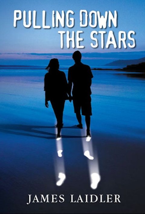 Cover image for book Pulling Down the Stars