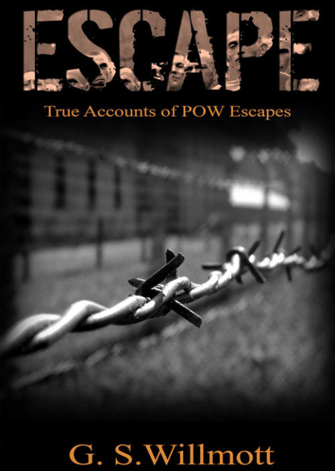 Cover image for book Escape
