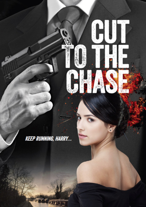 Cover image for book Cut to the Chase