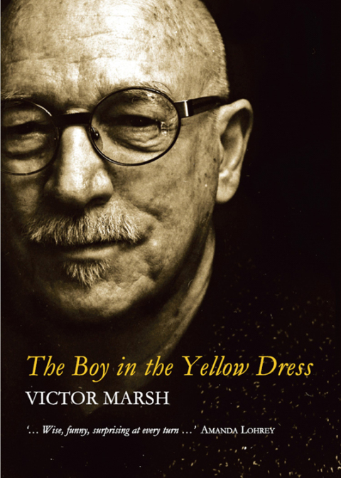 Cover image for book The Boy in the Yellow Dress