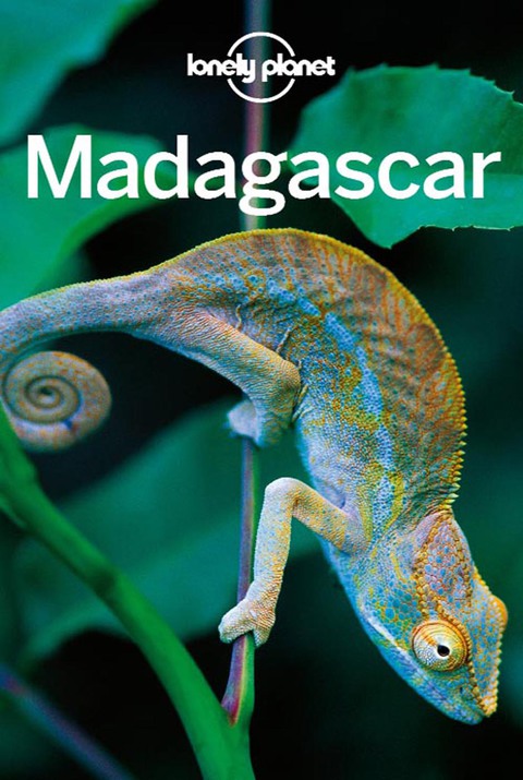 Cover image for book Lonely Planet Madagascar