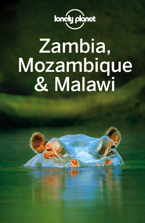 Cover image for book Lonely Planet Zambia, Mozambique & Malawi