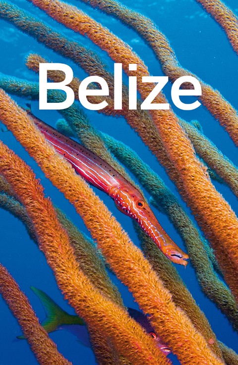 Cover image for book Lonely Planet Belize