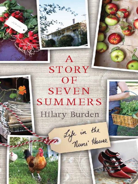 Cover image for book A Story of Seven Summers