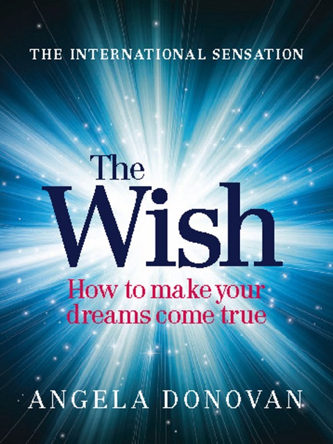 Cover image for book The Wish