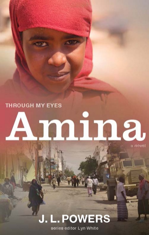 Cover image for book Amina: Through My Eyes