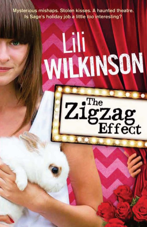 Cover image for book The Zigzag Effect