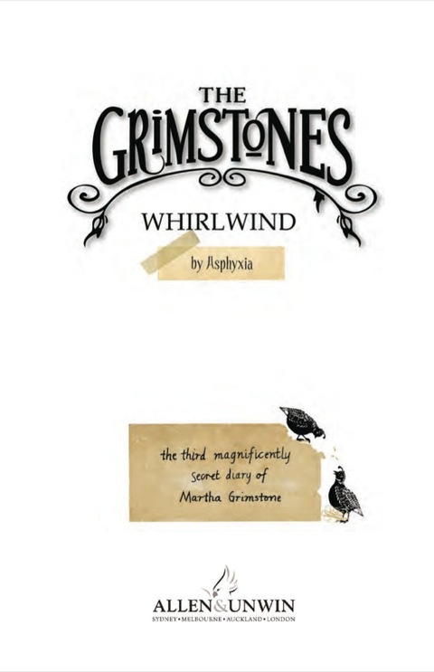 Cover image for book Whirlwind: The Grimstones 3