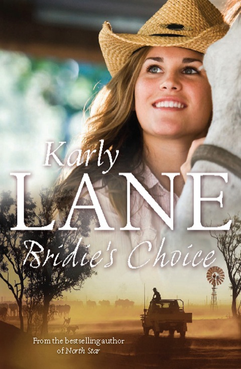 Cover image for book Bridie's Choice