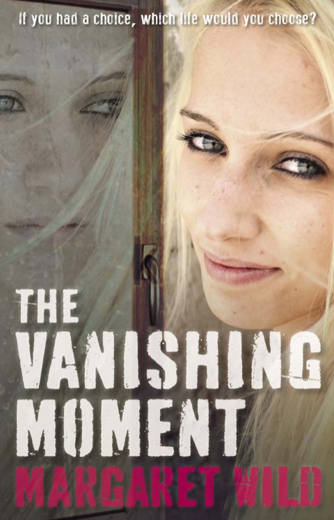 Cover image for book The Vanishing Moment
