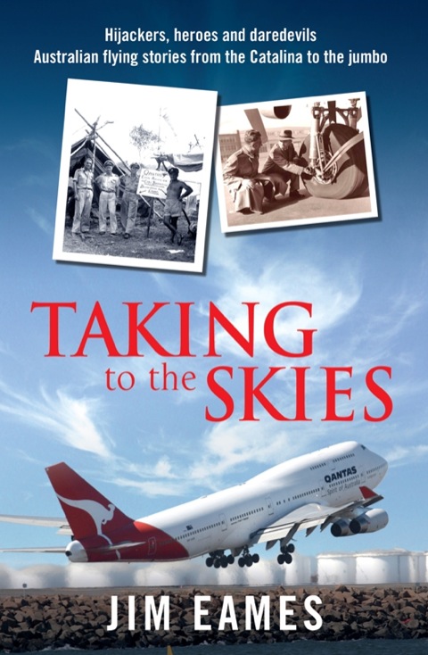 Cover image for book Taking to the Skies