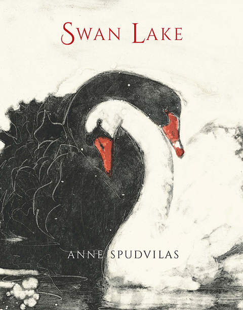 Cover image for book Swan Lake