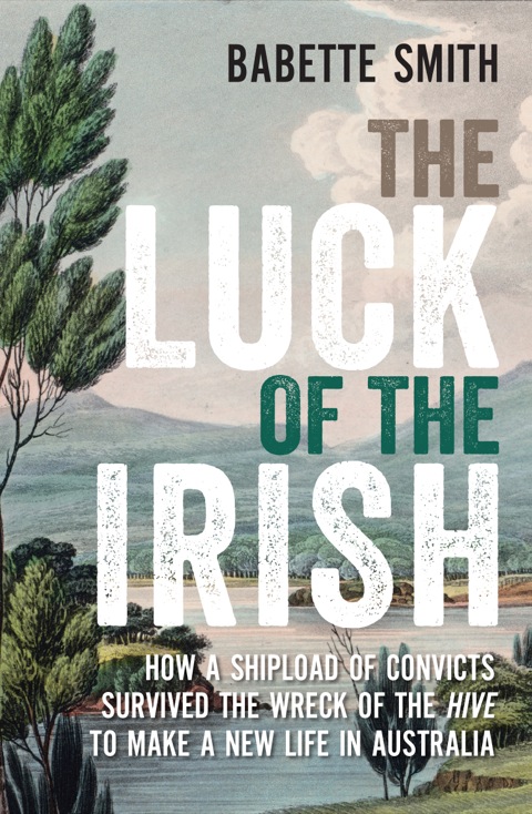 Cover image for book The Luck of the Irish