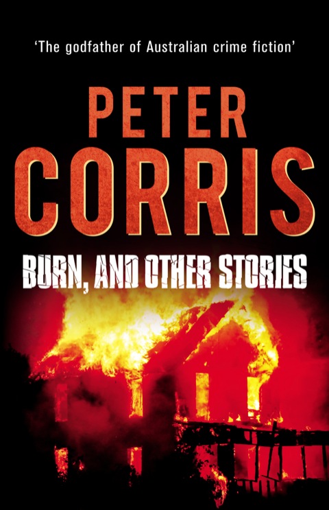 Cover image for book Burn, and Other Stories