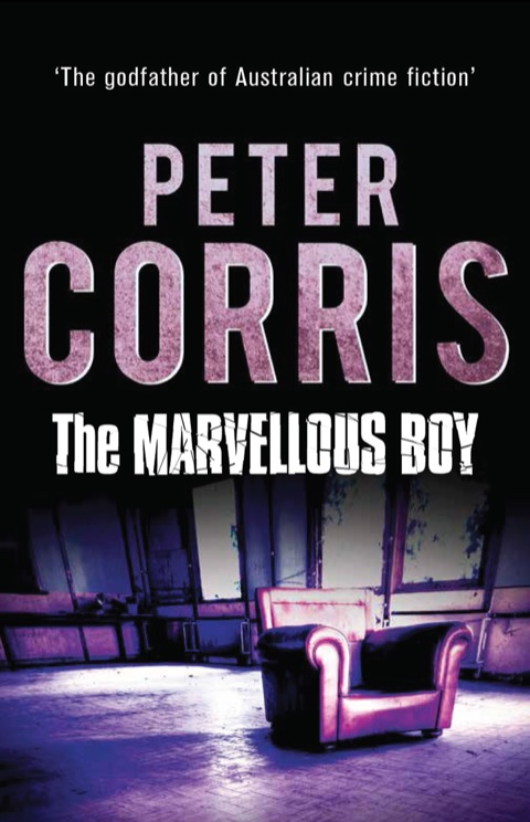 Cover image for book The Marvellous Boy