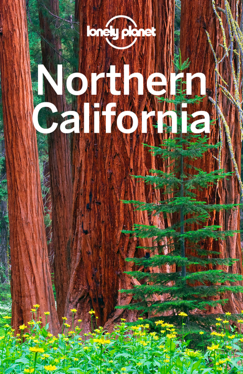 Cover image for book Lonely Planet Northern California