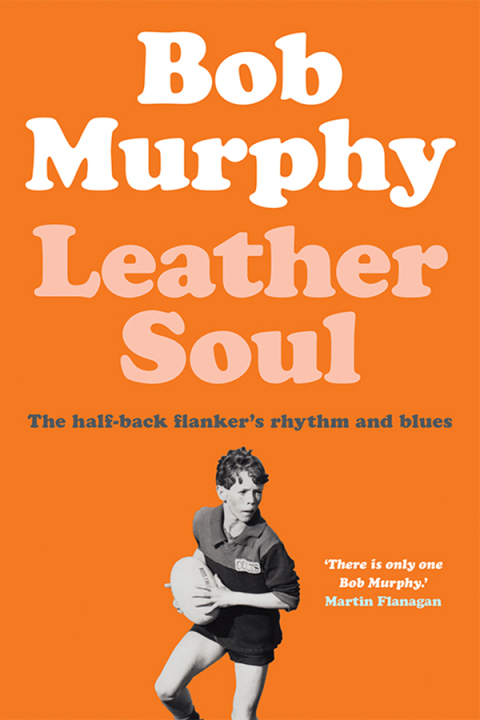 Cover image for book Leather Soul