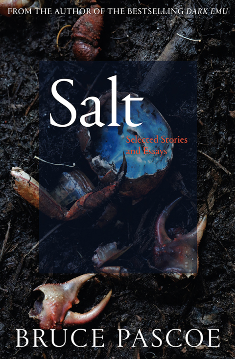 Salt 