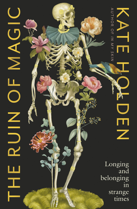 Cover image for book The Ruin of Magic
