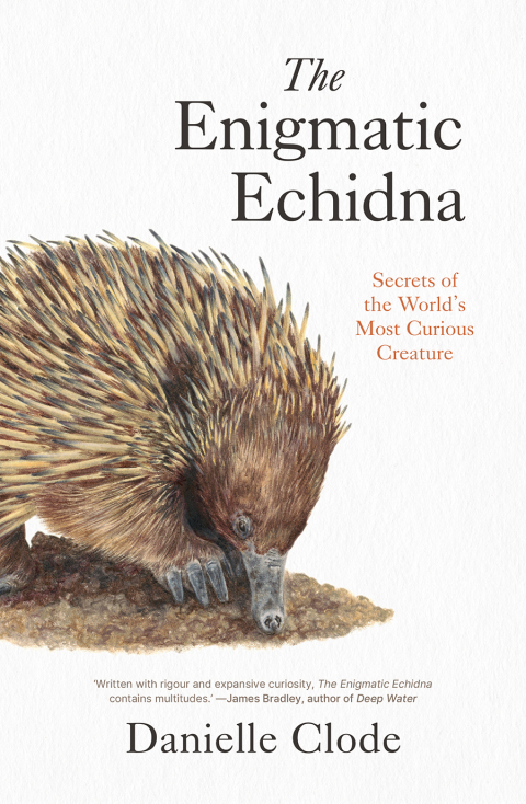 Cover image for book The Enigmatic Echidna