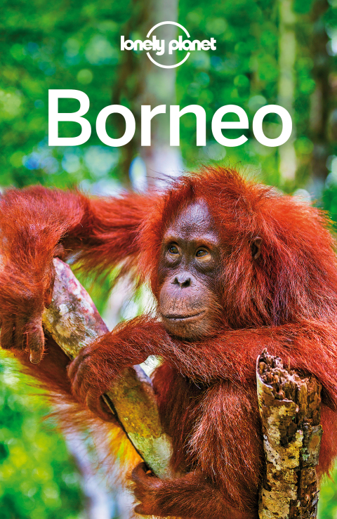 Cover image for book Lonely Planet Borneo