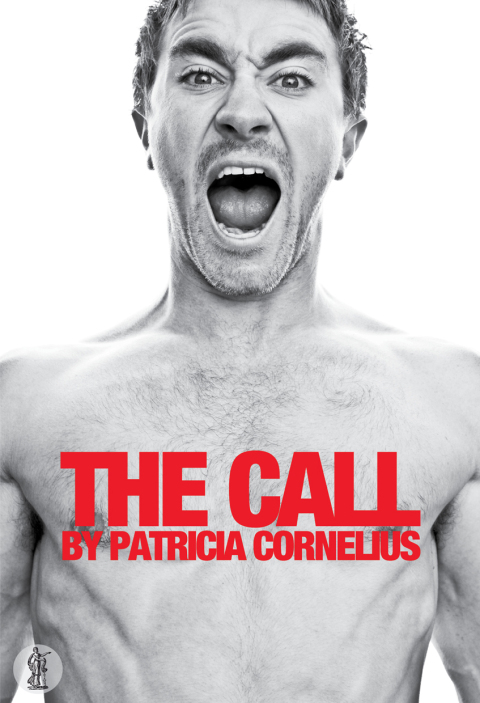 Cover image for book The Call
