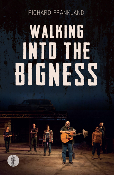 Cover image for book Walking into the Bigness