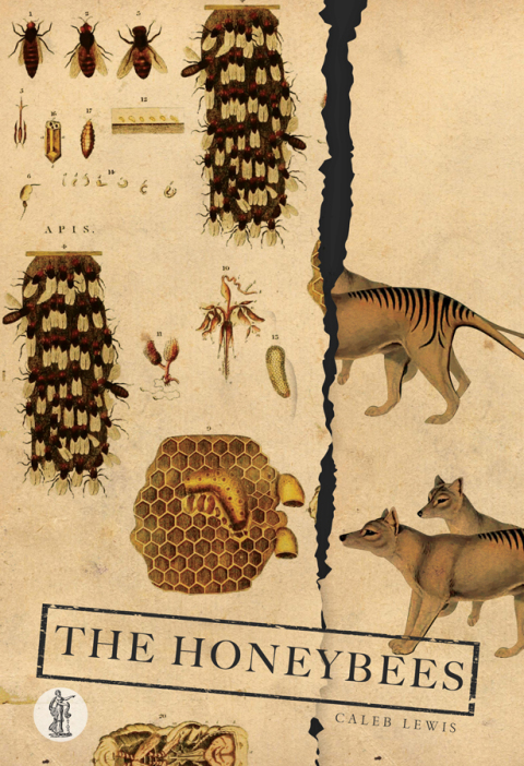 Cover image for book The Honey Bees