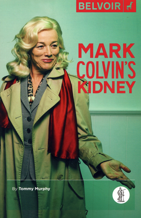 Cover image for book Mark Colvinâ€™s Kidney