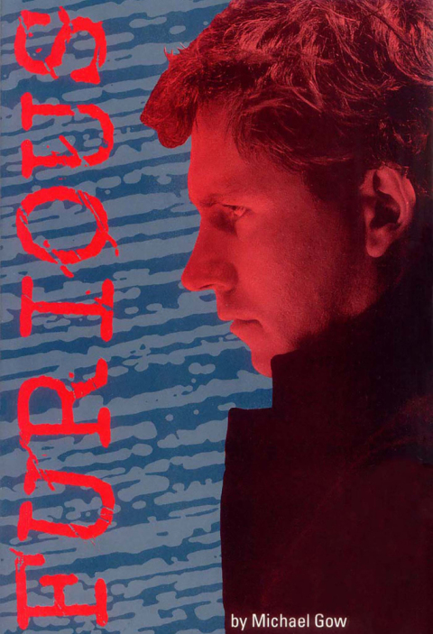Cover image for book Furious