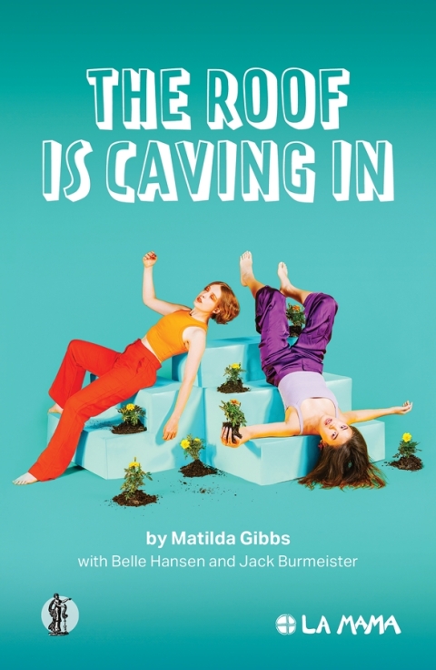 Cover image for book The Roof is Caving In
