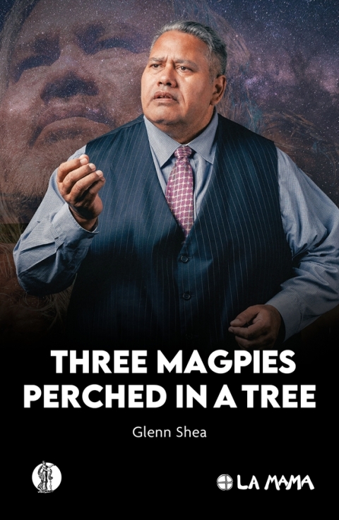 Cover image for book Three Magpies Perched in a Tree