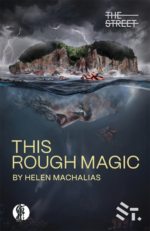 Cover image for book This Rough Magic