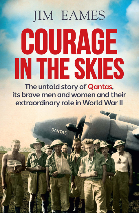 Cover image for book Courage in the Skies