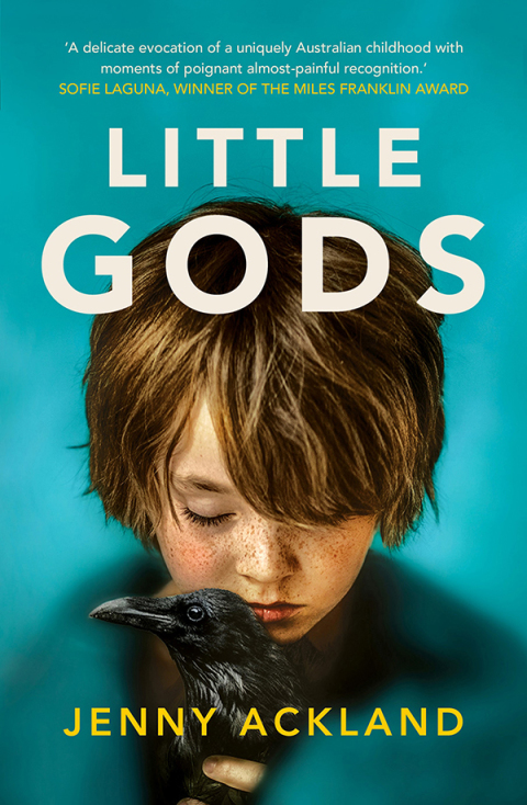 Cover image for book Little Gods