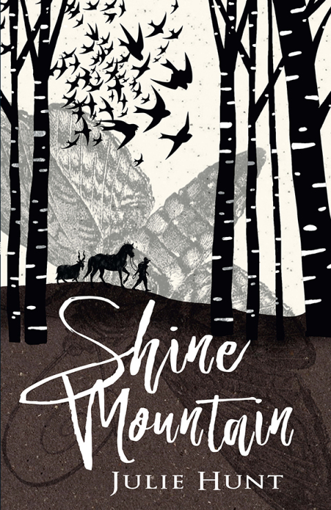Cover image for book Shine Mountain