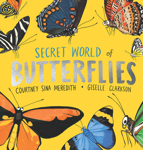 Cover image for book Secret World of Butterflies