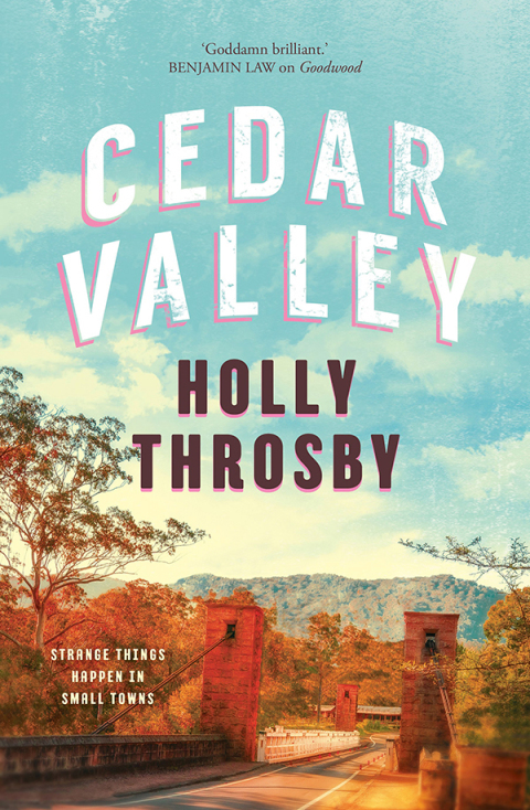 Cover image for book Cedar Valley