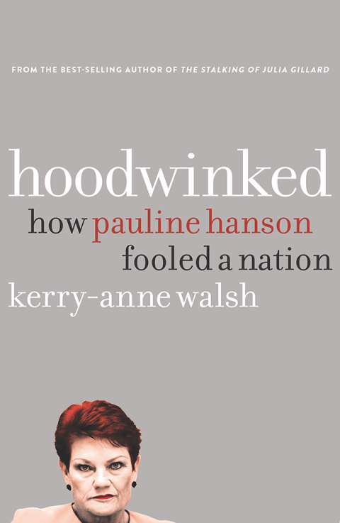 Cover image for book Hoodwinked